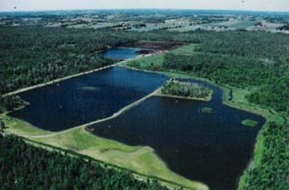 Blacktopp Fish Farm